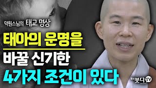 태아의 운명을 바꿀 신기한 4가지 조건이 있다 | 불교 태교명상 전문가 덕원스님 행복문화연구소 연구원 | 네이버 블로그 덕원스님의 행복여행 임신 출산 아기 초보 엄마 임산부