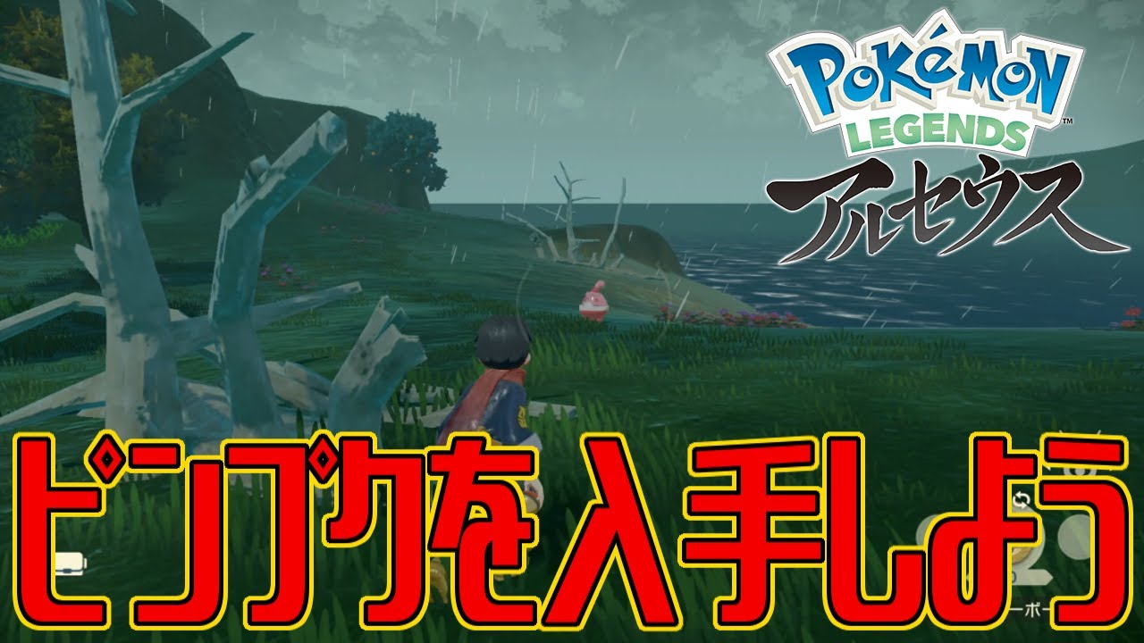 ポケモンアルセウス ピンプクを入手しよう Pokemon Legends アルセウス Youtube