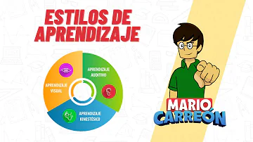 ¿Cuál es la importancia de conocer los estilos de aprendizaje?