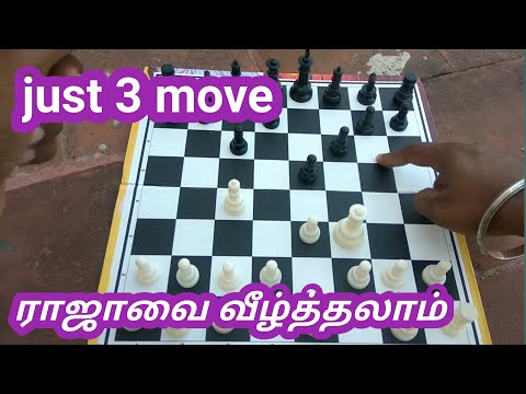 how to play chess for beginners in tamil  how to play chess in tamil  play chess in tamil  YTV part3