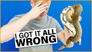 Famous MISIDENTIFIED Ball Pythons — What EVERY Buyer Should Know! | JKR #ProTip Wealth