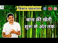 1082 - Bamboo Farming बांस की खेती शुरुवात से अंत तक  किसान पाठशाला BalramKisan Bkisan FPC