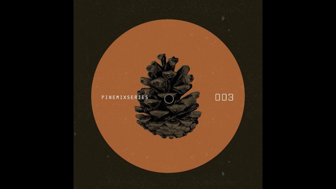 Pine Mix 003 | RISH.         |Ro Minimal