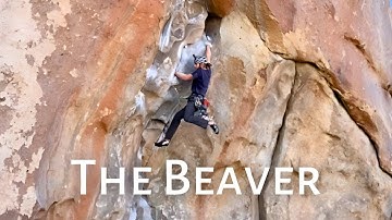Leave it to Beaver! 5.12a Beta Breakdown