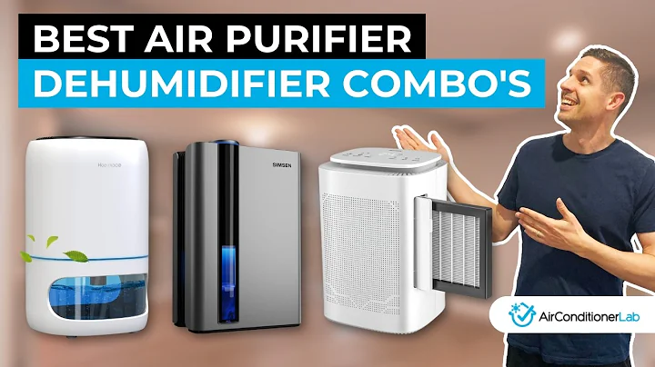 5 Best Air Purifier and Dehumidifier Combo Units