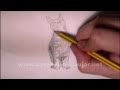 Inspiration Coloriage Chat A Rayures