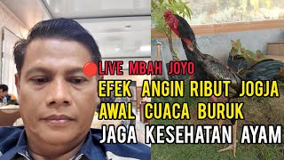 🔴Live Mbah Joyo Material Siapn