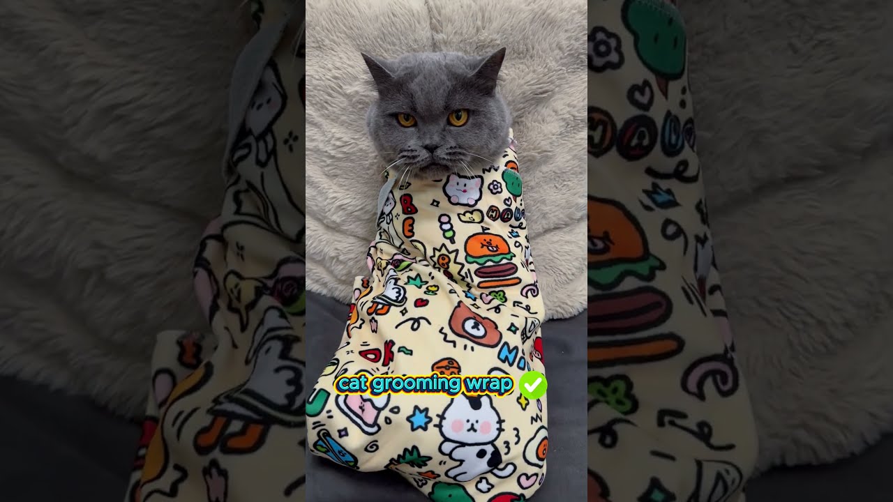 You discover a cat grooming hack that makes CATS pedicures easy and safe.