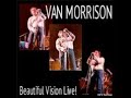 Capture de la vidéo Van Morrison Beautiful Vision Live