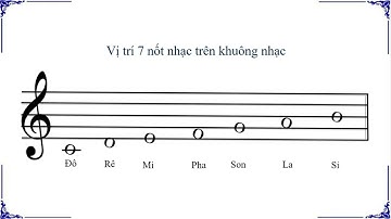 Bảy nốt nhạc trên khuông nhạc.