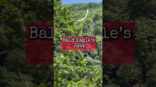 Tour Potomac Eagle Scenic Railroad