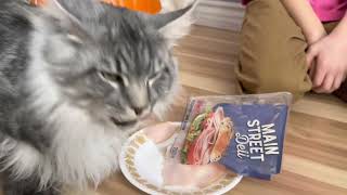 Maine Coons food challenge by Maine Coons and Vlad  412 views 2 years ago 5 minutes, 2 seconds