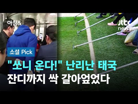 &quot;쏘니 온다!&quot; 난리난 태국, 잔디까지 싹 갈아엎었다 #소셜픽 / JTBC 아침&amp;