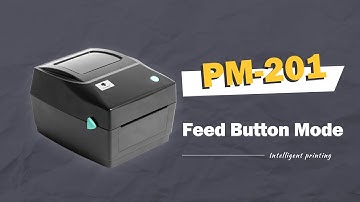 Phomemo PM201 Tutorial: Introducing Feed Button Mode for Label Printer PM-201丨Business Labeling