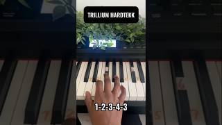 TRILLIUM HARDTEKK Easy Piano Tutorial #trillium #pianotutorial #phonk 🎹🎹