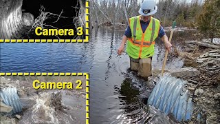 Unclogging Badly Clogged Swamp Culvert With Overnight Camera