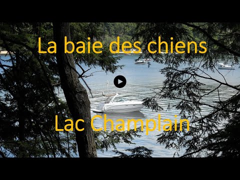 Baie des chiens