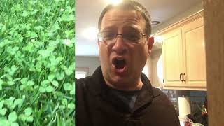 Honey I Shrink The Kids Movie 🎥 Lines Szalinski And Big Russ Your Sayin Yard L@@ks Like The Yamazon