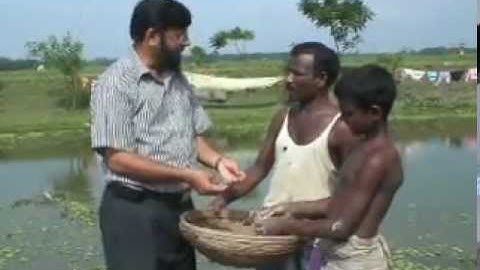 IRRI: Rice Science for a Better World