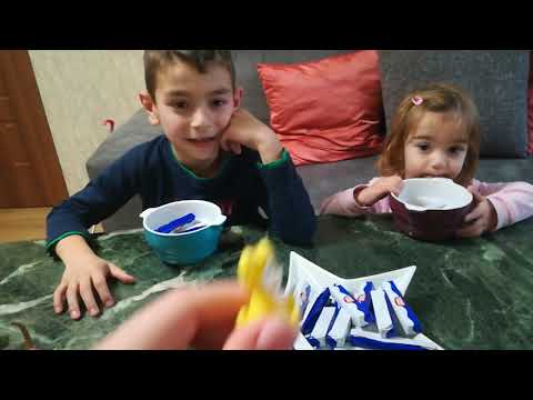 კატოს ძამიკო ეხმარება ცხოველების სწავლაში