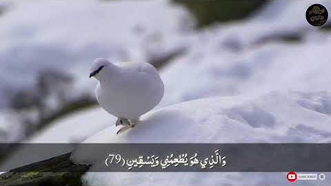 آيه ٧٨الي ٨٢ من سورة الشعراء