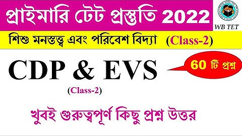 শিশু মনস্তত্ত্ব ও পরিবেশ বিদ্যা CDP & EVS | প্রাইমারি টেট প্র্যাকটিস 2022 || Math Tricks by Hasnat