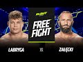 Clout mma 2 free fight dawid crazy zacki  denis labryga