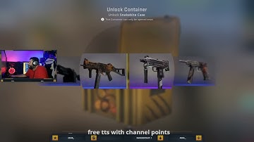 Snakebite case = Gloves