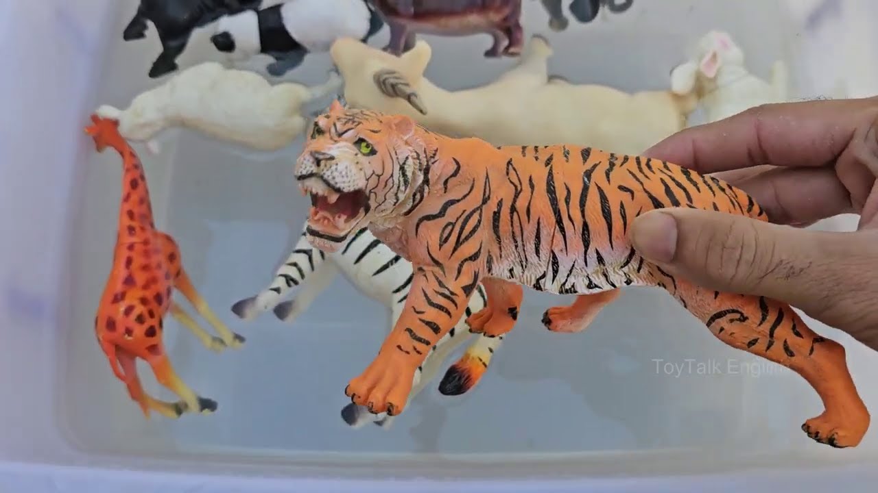 Farmyard & Wild Safari: English and Urdu Animal Name Exploration! انگریزی اور اردو جانوروں کے نام