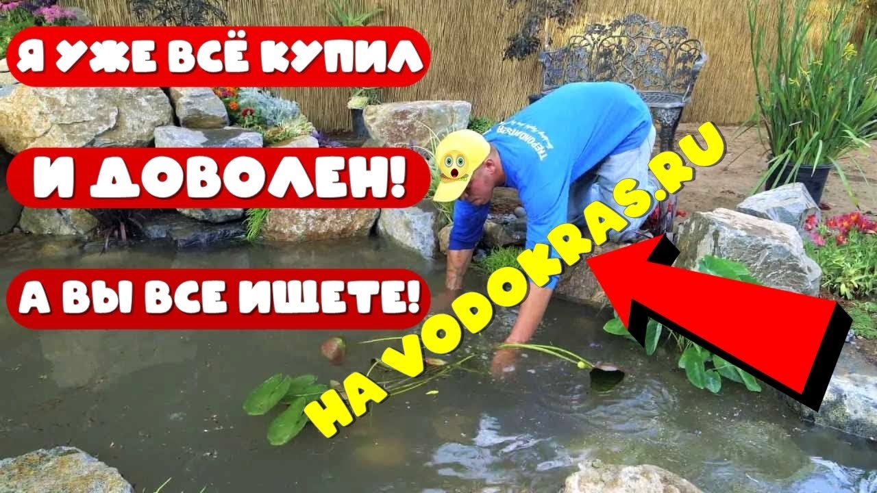 ПЛАВАЮЩИЕ РАСТЕНИЯ ДЛЯ ПРУДА, полезные чистильщики водоёма на даче .