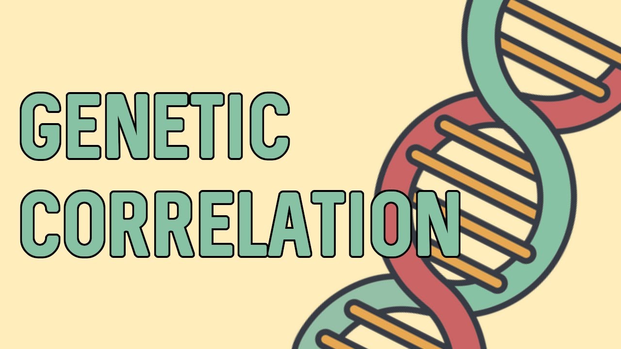 Genetic correlation using python youtube