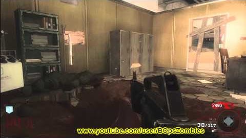 Black Ops Zombies Glitch "Five" Pig Room