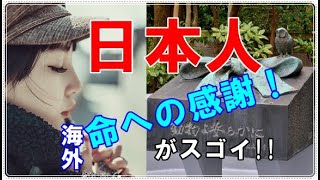 【海外の反応】「外国人も絶句！」 日本人は、命をいただいた動物にも感謝してるとに称賛の声が！