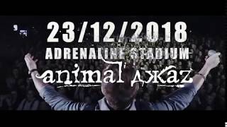 Animal ДжаZ - 18 лет Счастья! - 23 декабря - Stadium