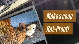 rat chicken proof coop brooder