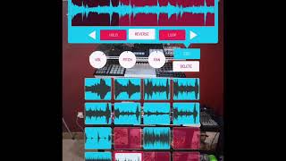 Koala App Resample Beatmaking