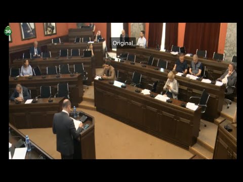 GWP-ის გარდა, სხვა კომპანიის არსებობა რომ არ შეიძლება ეს კონკურენციის დარღვევაა - სანდრო რაქვიაშვილი