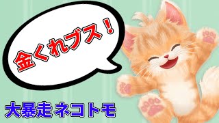 めっちゃ失礼なことを自信満々に言うネコ