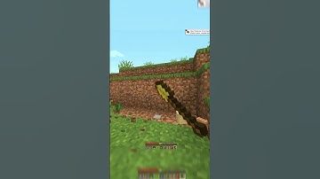 Minecraft:-Blocks Drop are Random #herobrine #minecraft #shorts #entity