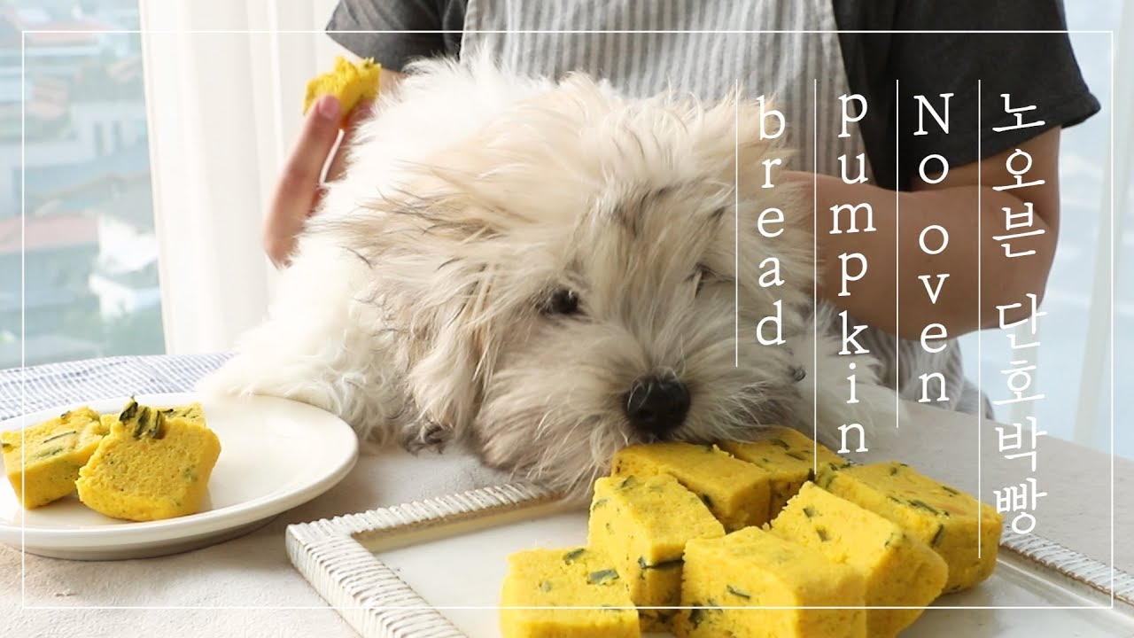 Sweet Pumpkin Bread Recipe, Dog Treats Recipe | 🐶전자레인지 단호박빵 만들기 + 강아지먹방