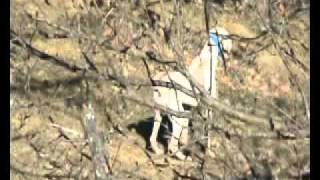 NVEExport.0009.flv