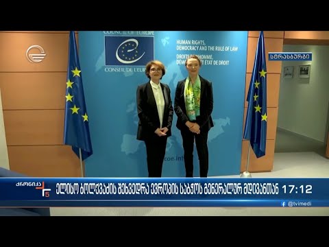 ელისო ბოლქვაძის შეხვედრა ევროპის საბჭოს გენერალურ მდივანთან