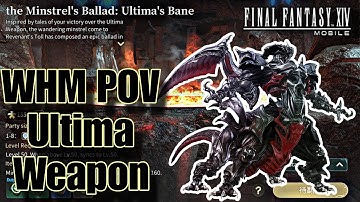 (High-End) The Minstrel