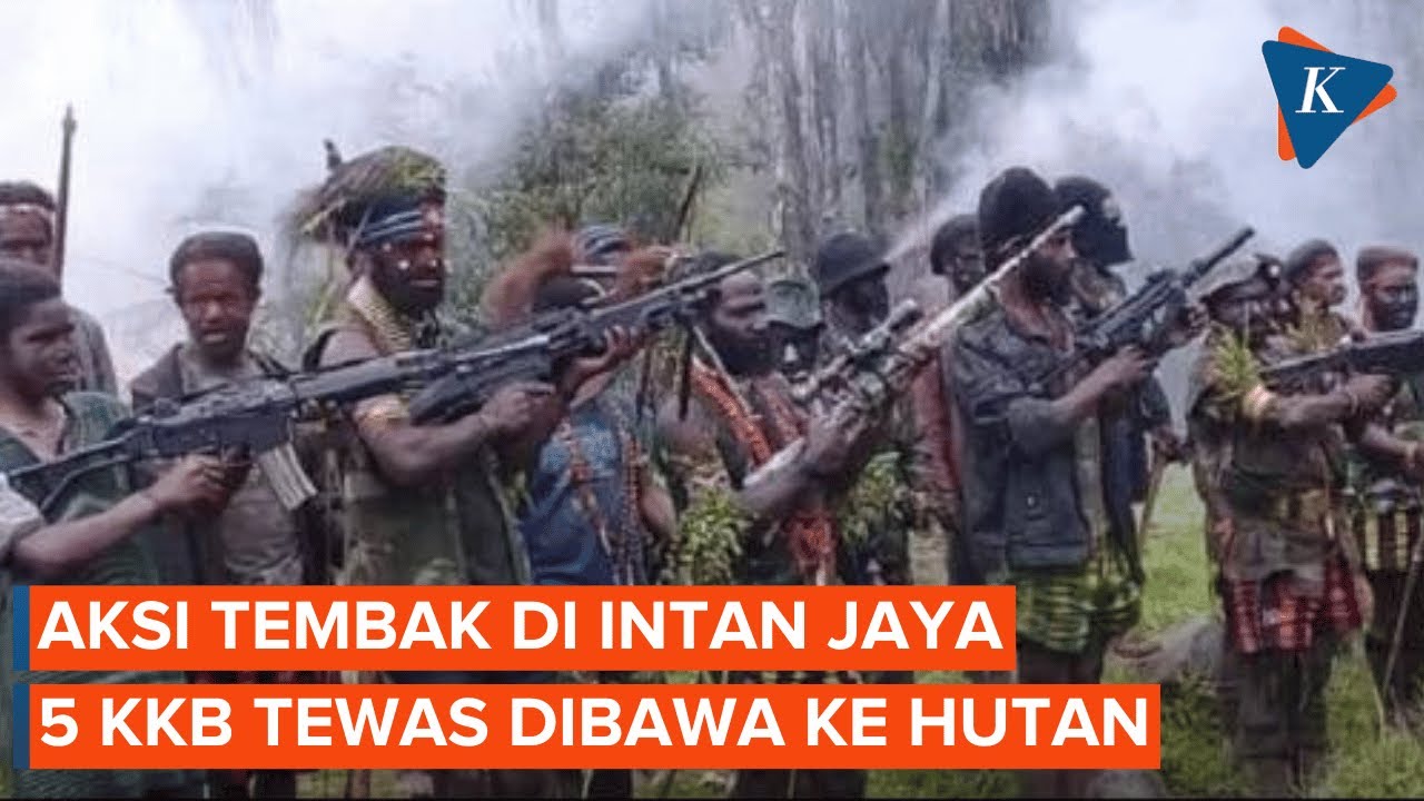 TNI Sebut KKB Jadi OPM, Langkah Tegas Menumpas Pemberontak Pada NKRI