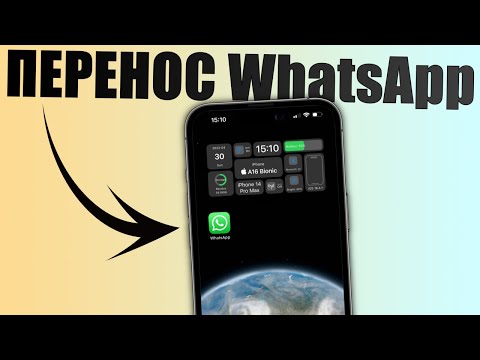 Как перенести ватсап на другой телефон? Перенос чатов и переписки WhatsApp на другой телефон