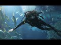 Steve Aoki Scuba Diving Atlantis The Palm, Dubai
