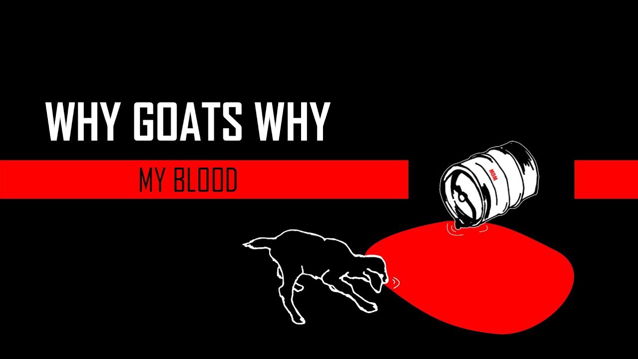 Why Goats Why My Blood YouTube