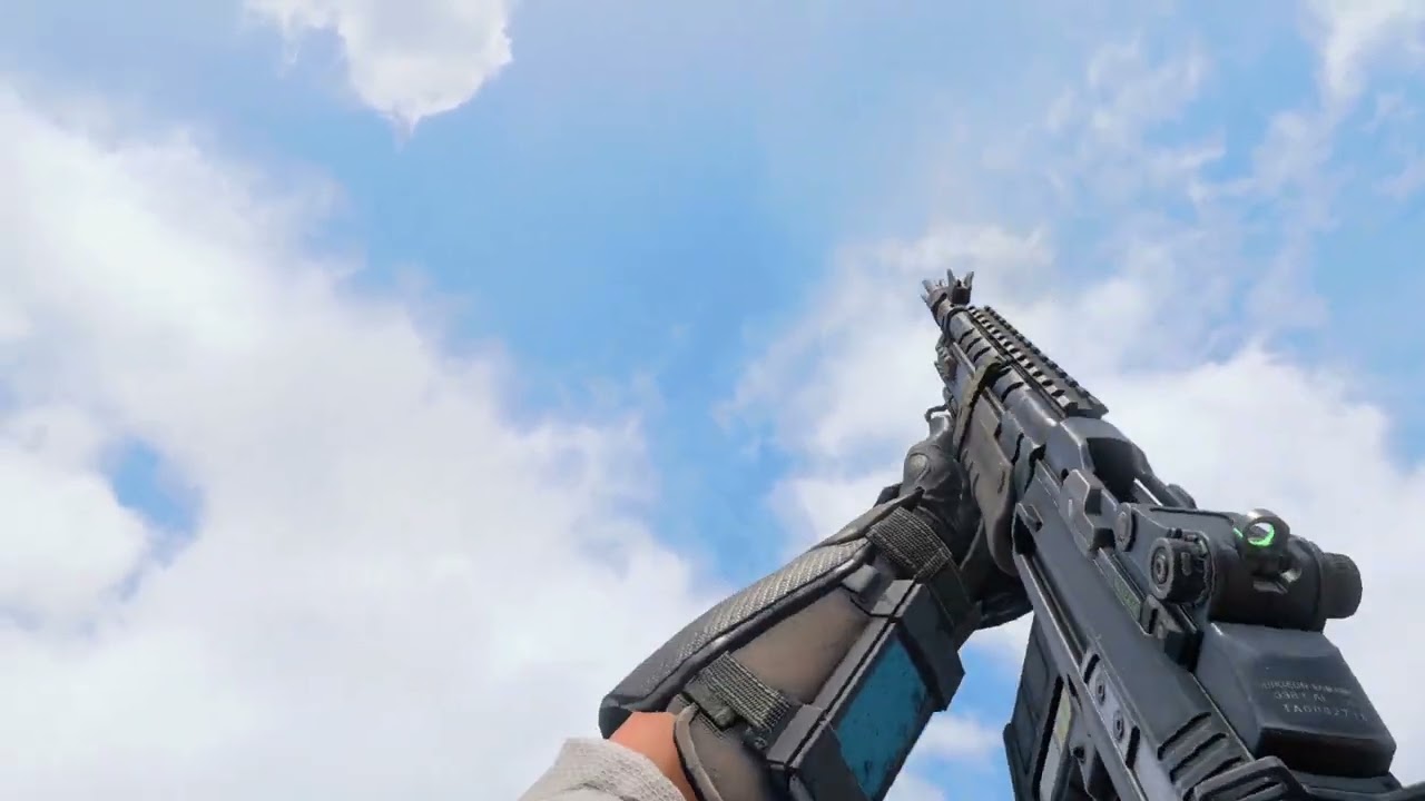 Familiar Firearms #2 MW3 MK-14 / BO4 SDM 