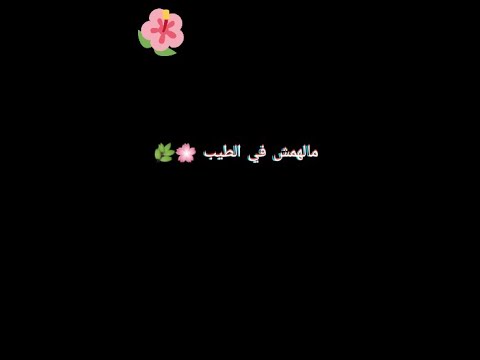 مالهمش في الطيب