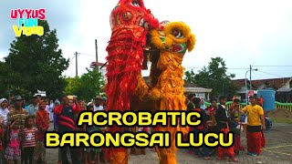 KEREN....Atraksi BARONGSAI Lucu - Acrobatic Double Lion Dance